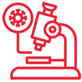 Newmedia Services